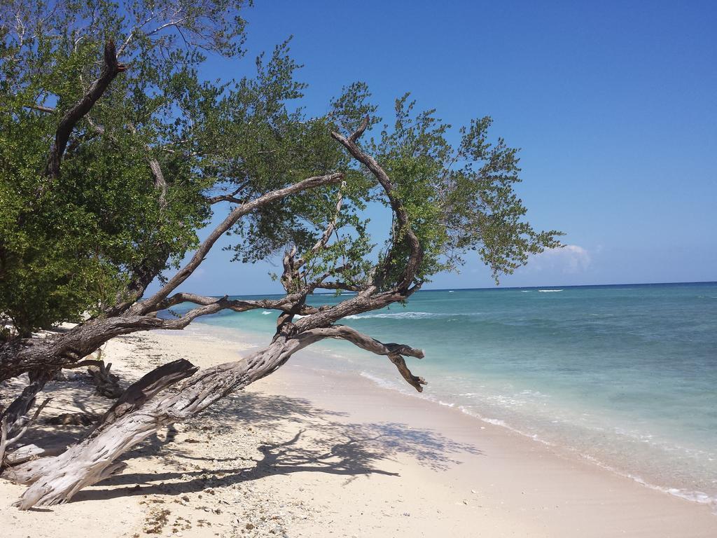 Villas Light House - Eco-Traditional Joglo Gili Trawangan Luaran gambar