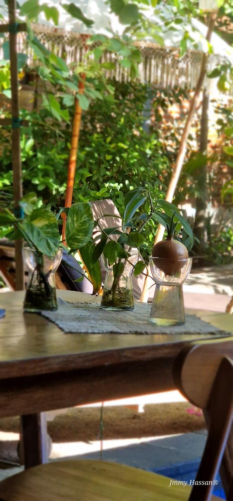 Villas Light House - Eco-Traditional Joglo Gili Trawangan Luaran gambar