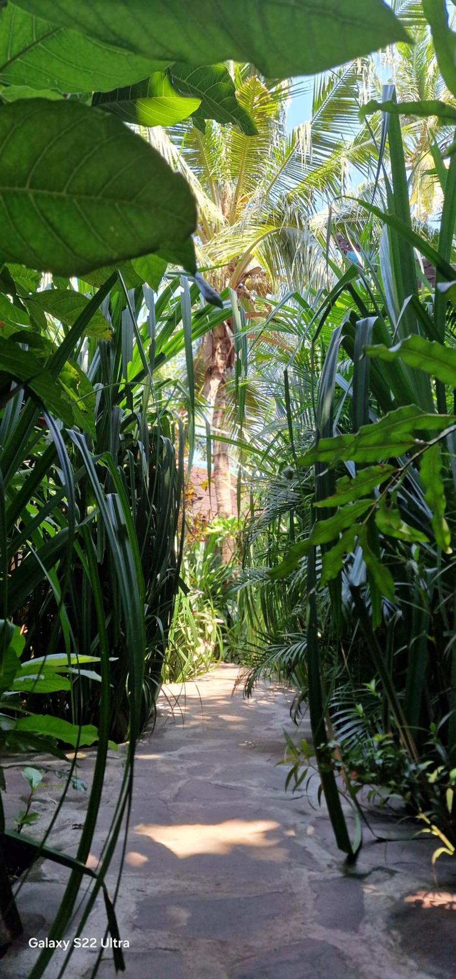 Villas Light House - Eco-Traditional Joglo Gili Trawangan Luaran gambar